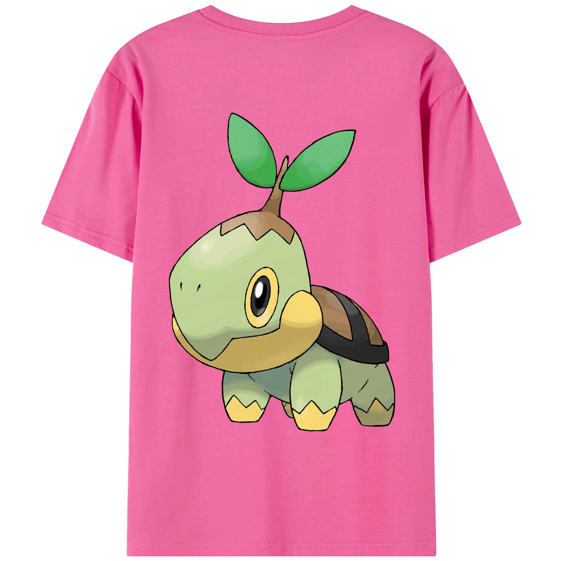 （画像用） ポケットモンスター Pokémon レディース半袖Tシャツ(バックプリント)